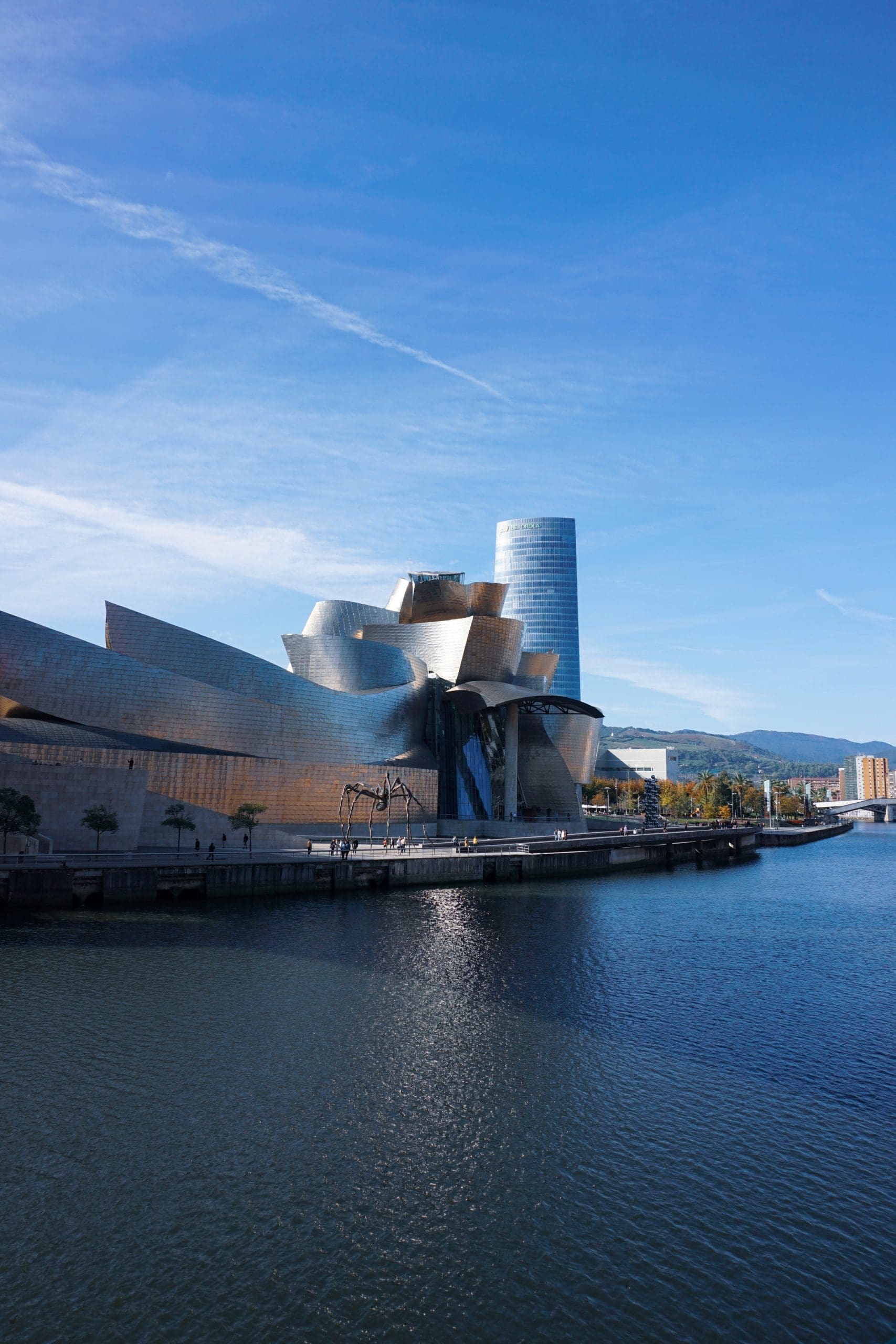 Guggenheim bilbao museum, Bilbao, basque country, spain, travel destinations