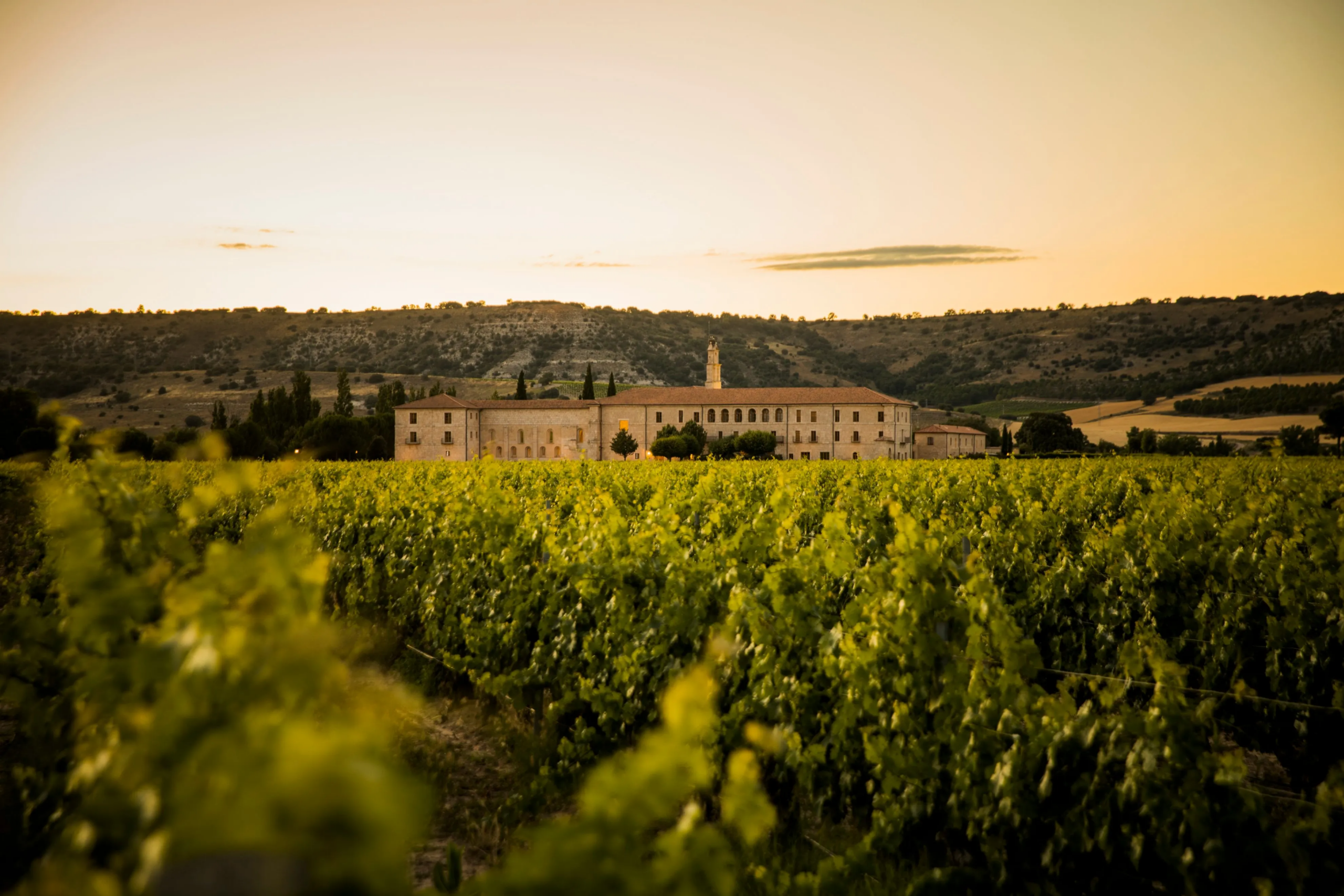 Valladolid and Ribera del Duero