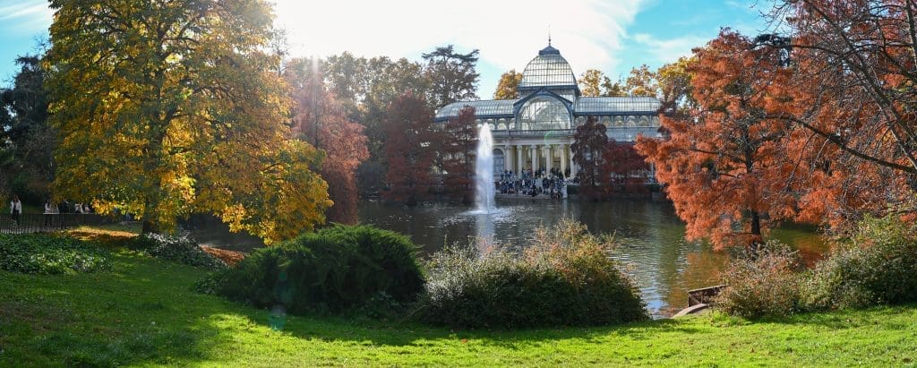 Our Favorites in Madrid